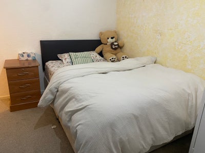 Double Room - Furnished -  All Bills Included Main Photo