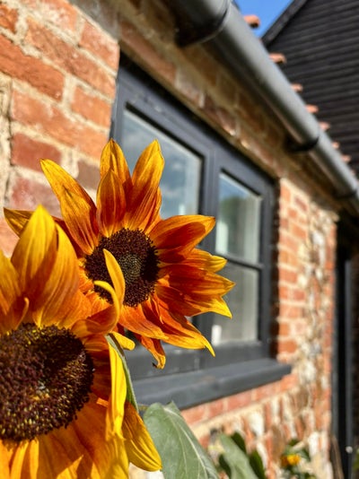 Private Norfolk Country Cottage with Garden Main Photo