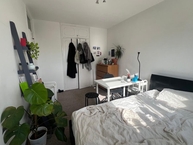 Lovely room close to Columbia Flower Market 🌸 Main Photo