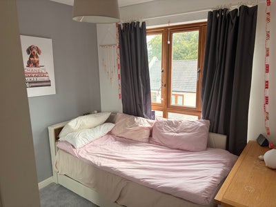 Single room to let Main Photo