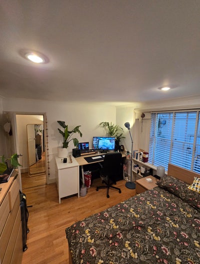 Double room in 3 Bed  garden flat Camden centre Main Photo