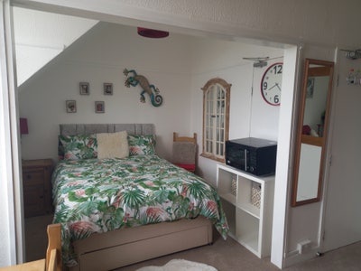 Large Double Room in Shared House Main Photo