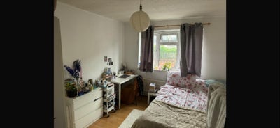 Good size double room to let  Main Photo
