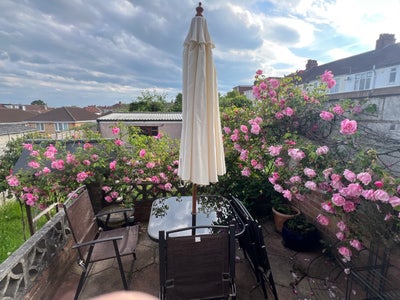  Bright bedroom  in friendly house  - bills incl. Main Photo