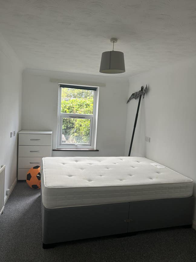 Urgent Housemate Needed  Main Photo