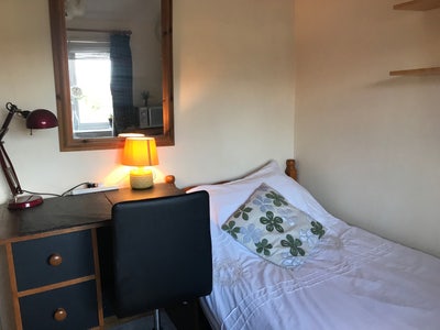 A Single Bedroom and A Shared Bathroom ONLY!  Main Photo