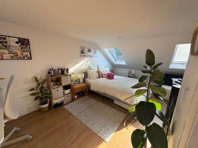 Huge room in North London available for sublet Main Photo