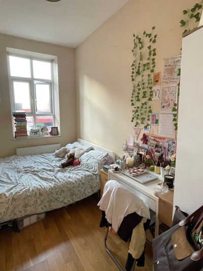 Cosy Balham home looking for a friendly flatmate  Main Photo