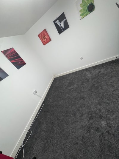 One Room in a flat Main Photo