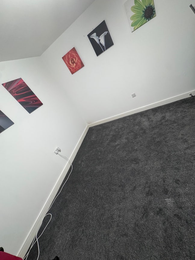 One Room in a flat Main Photo