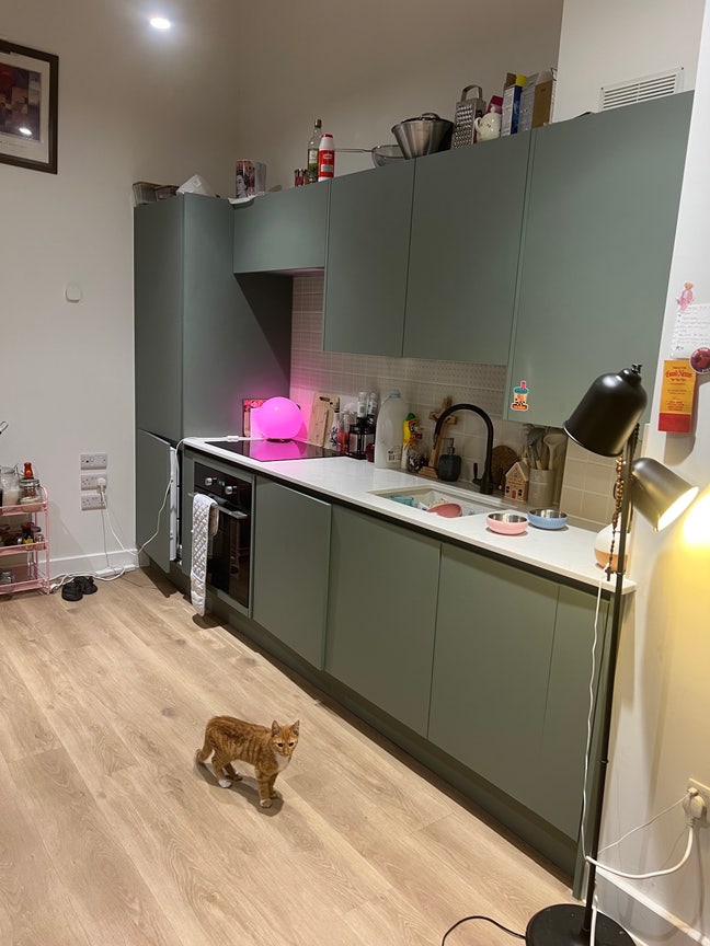 Whole Apartment for Short Term Lease  Main Photo