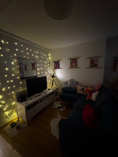 Room in amazing Shoreditch flat with garden! Main Photo