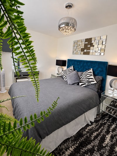 Large Double Room / Bathroom & a GYM!!  Main Photo