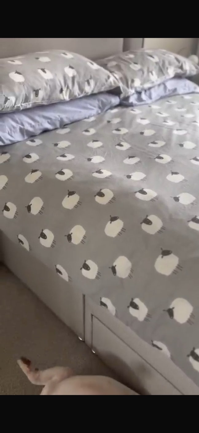 1, person double room available  Main Photo