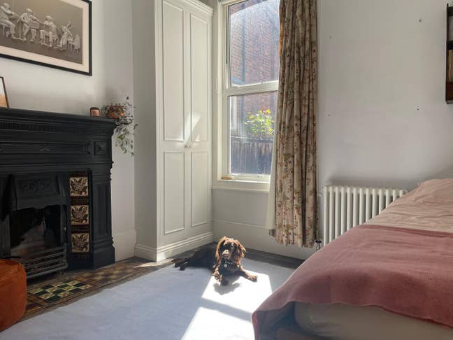 Reduced rent in return for dog sitting  Main Photo