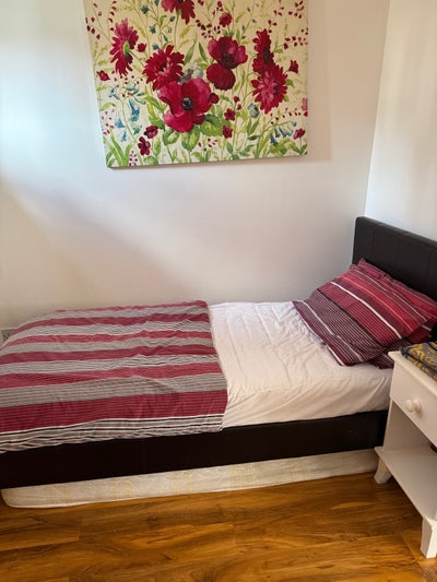 Single room females only  Main Photo