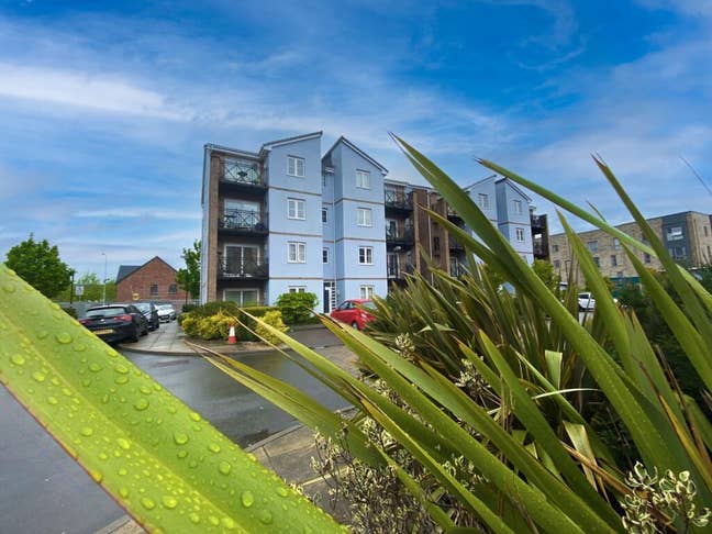 1 Bedroom Furnished Flat  Main Photo