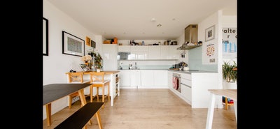 Double Room in Mile End  Main Photo