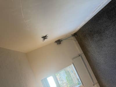 Very large room bd4 Main Photo