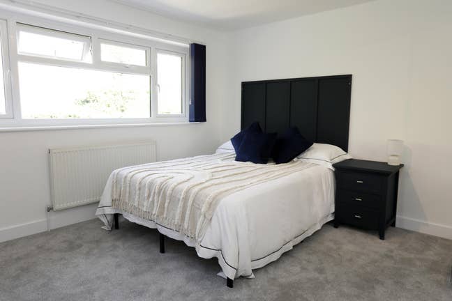 King Rm | Professional | Private Parking |Spacious Main Photo