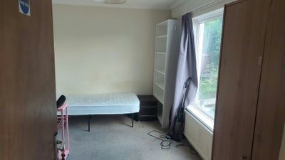 Single Room Nr Hatfield station ex bills  Main Photo