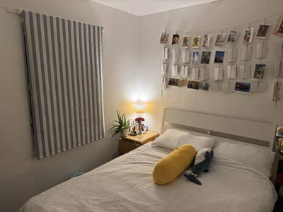 Available double bedroom to rent in Newington Main Photo