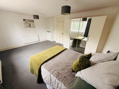 Friendly flatshare! Main Photo