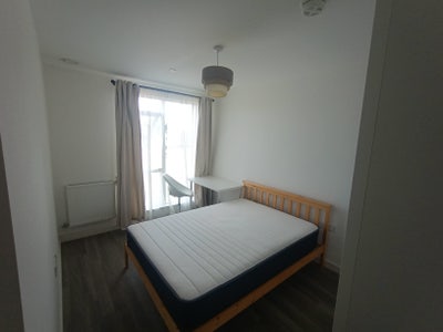 Double Room Available Main Photo