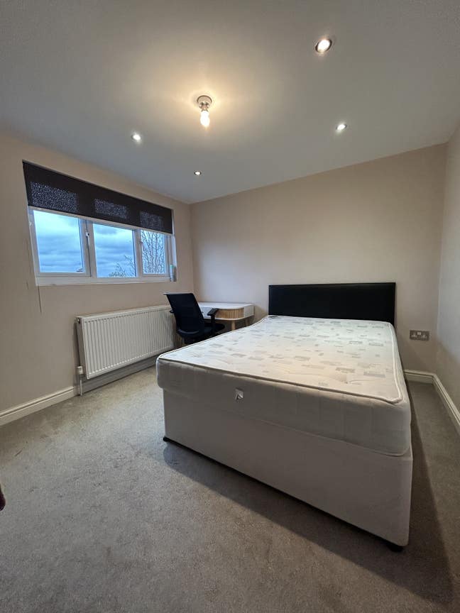 Single Loft in a Gorgeous House Close to Jubilee!! Main Photo