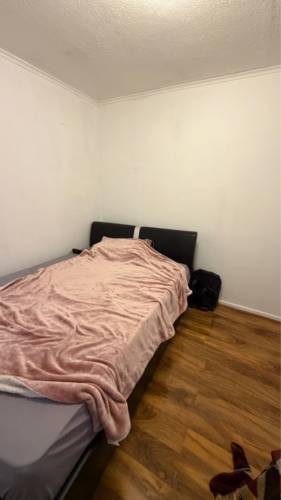 Spacious room in calm area  Main Photo