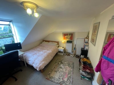 Large Double room- Early October move in Main Photo