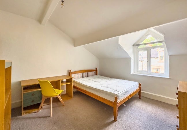 Person needed to fill room ASAP Main Photo