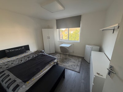 Double room in Clapton  Main Photo