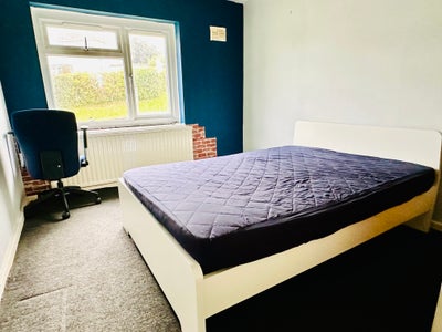 Room Available In a Shared Student Flat  Main Photo