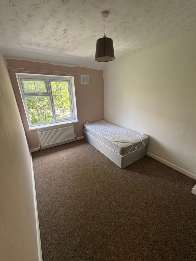 One room available Main Photo