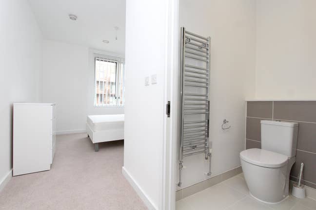 3 rooms available in the same building!! Main Photo