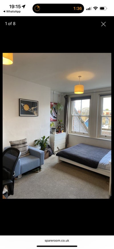 Looking for considerate and clean housemate Main Photo