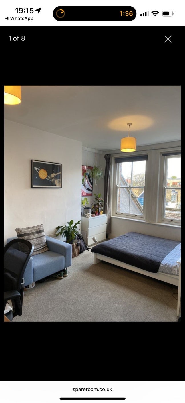 Looking for considerate and clean housemate Main Photo