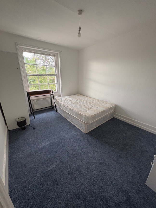 Room for sociable and friendly professional Main Photo