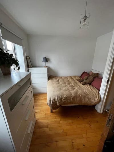 Girls' House in Finsbury Park (lease ends in Dec) Main Photo