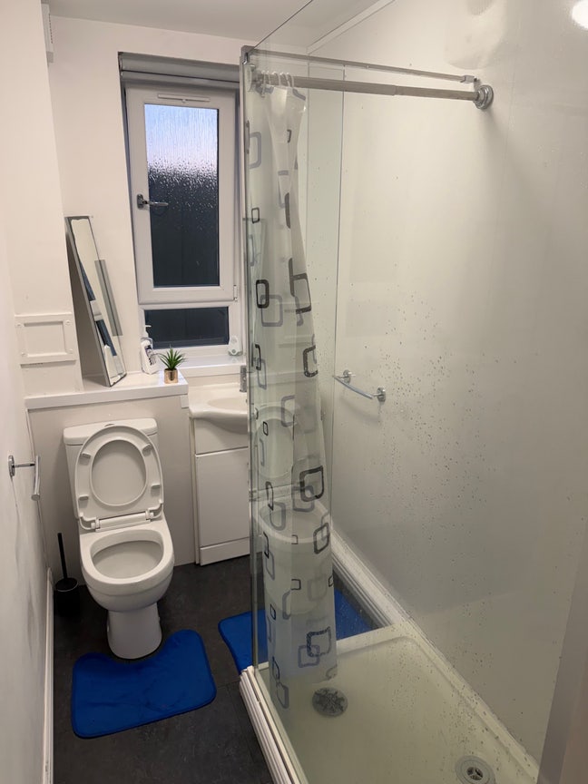 Room available in a clean and comfortable flat. 🏠  Main Photo
