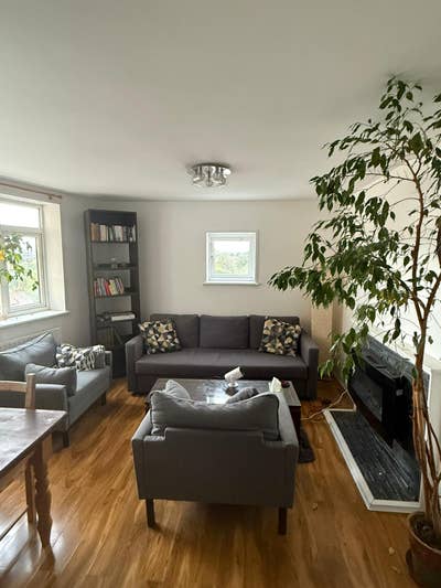 Single Room in friendly flatshare Main Photo
