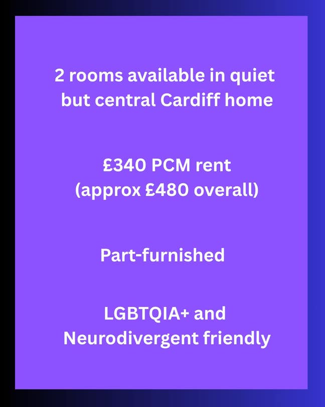 2 rooms in quiet but central Cardiff - &pound;340pcm Main Photo