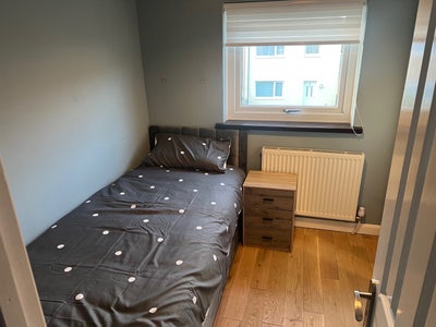 Room in a House Share Main Photo
