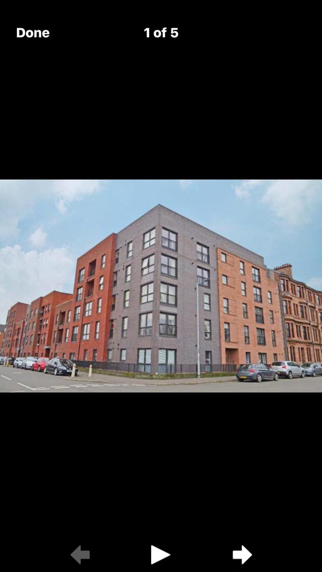 WESTEND - Share modern flat Main Photo