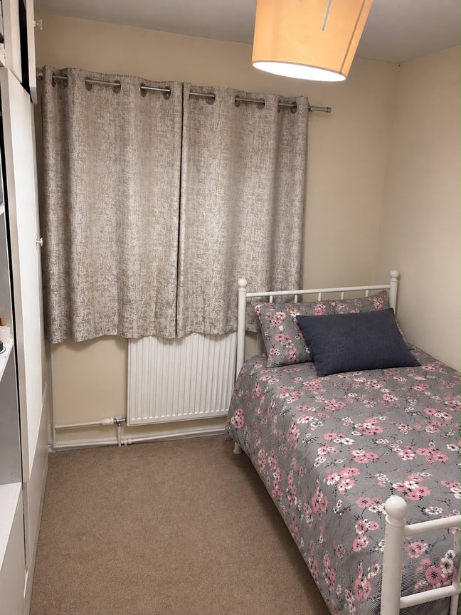Home🌸 Main Photo