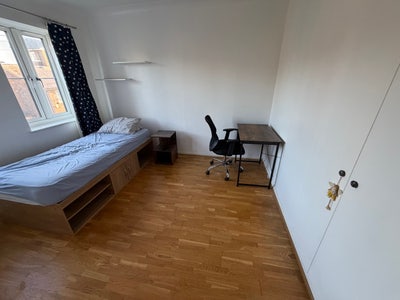 Looking for female lodger  in e14 Main Photo
