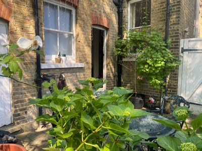 Two Bedroom Ground Floor Flat Available Now   Main Photo