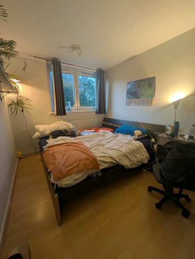 Double room available in great Zone 1 location  Main Photo