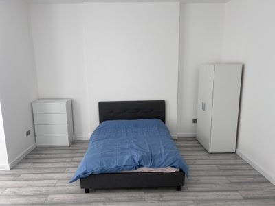 Newly renovated large double room for rent Main Photo